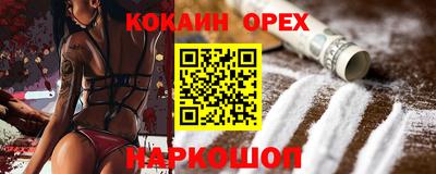 СК Новодвинск