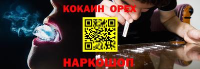 СК Новодвинск
