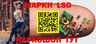 СК Новодвинск
