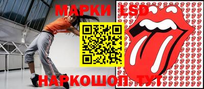 СК Новодвинск