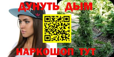 СК Новодвинск