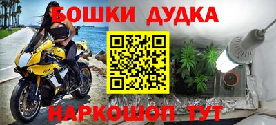 СК Новодвинск