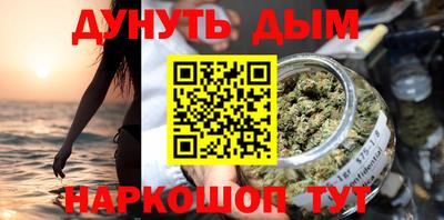 СК Новодвинск