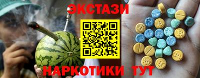 СК Новодвинск