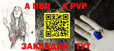 СК Новодвинск