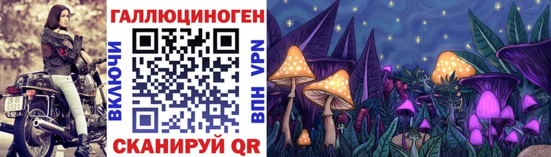 Галлюциногенные грибы Psilocybine cubensis  Сосновый Бор 