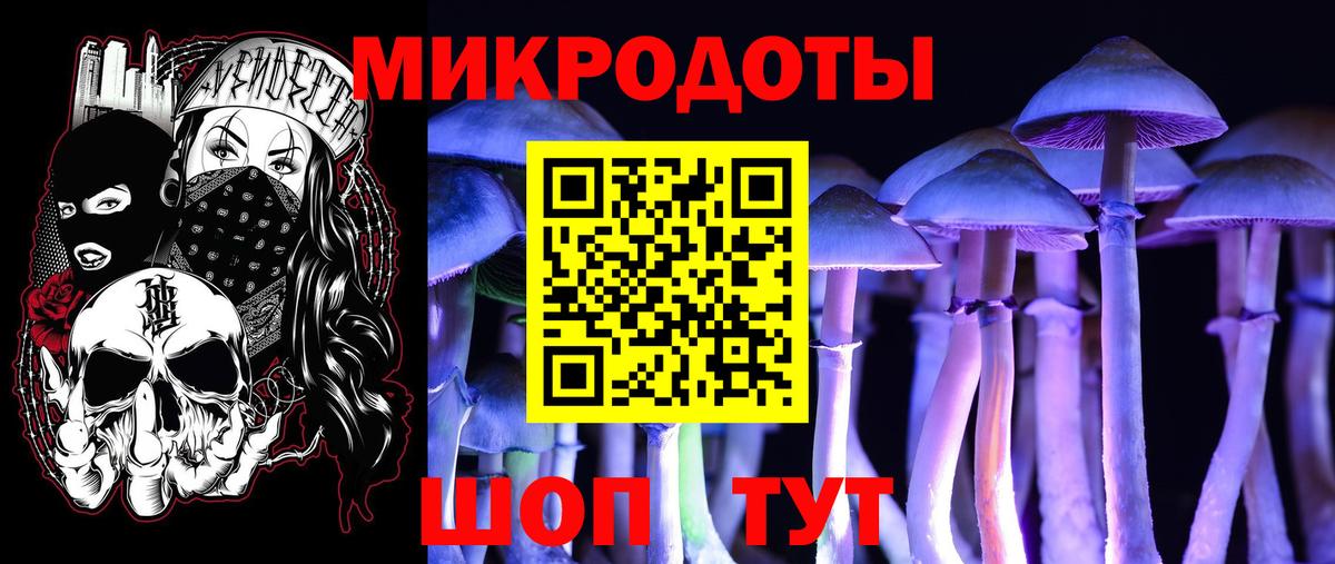 Псилоцибиновые грибы Psilocybine cubensis Сосновый Бор