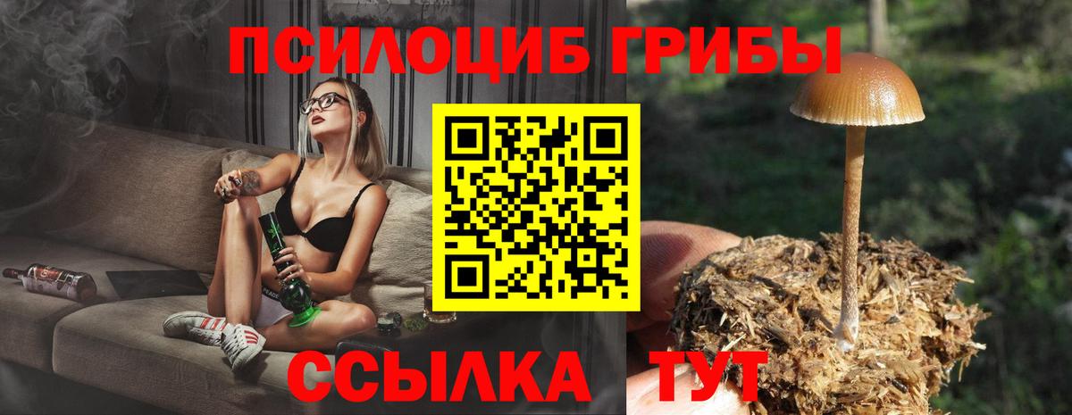 Сосновый Бор  Псилоцибиновые грибы прущие грибы  Вход с VPN  купить наркоту  Псилоцибиновые грибы GOLDEN TEACHER 