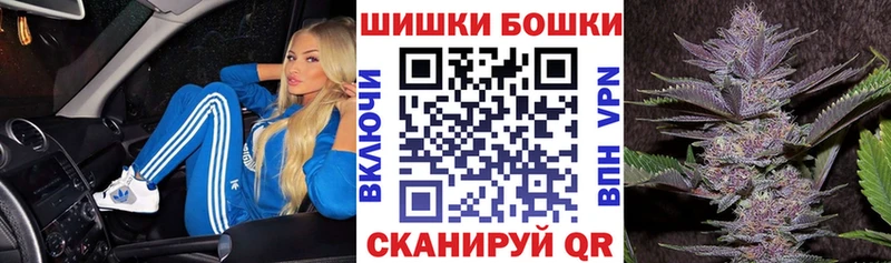 купить наркотик  Сосновый Бор  Бошки марихуана индика 