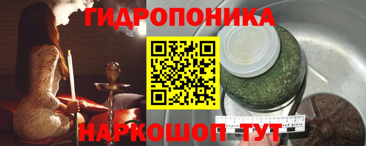 Конопля индика Сосновый Бор